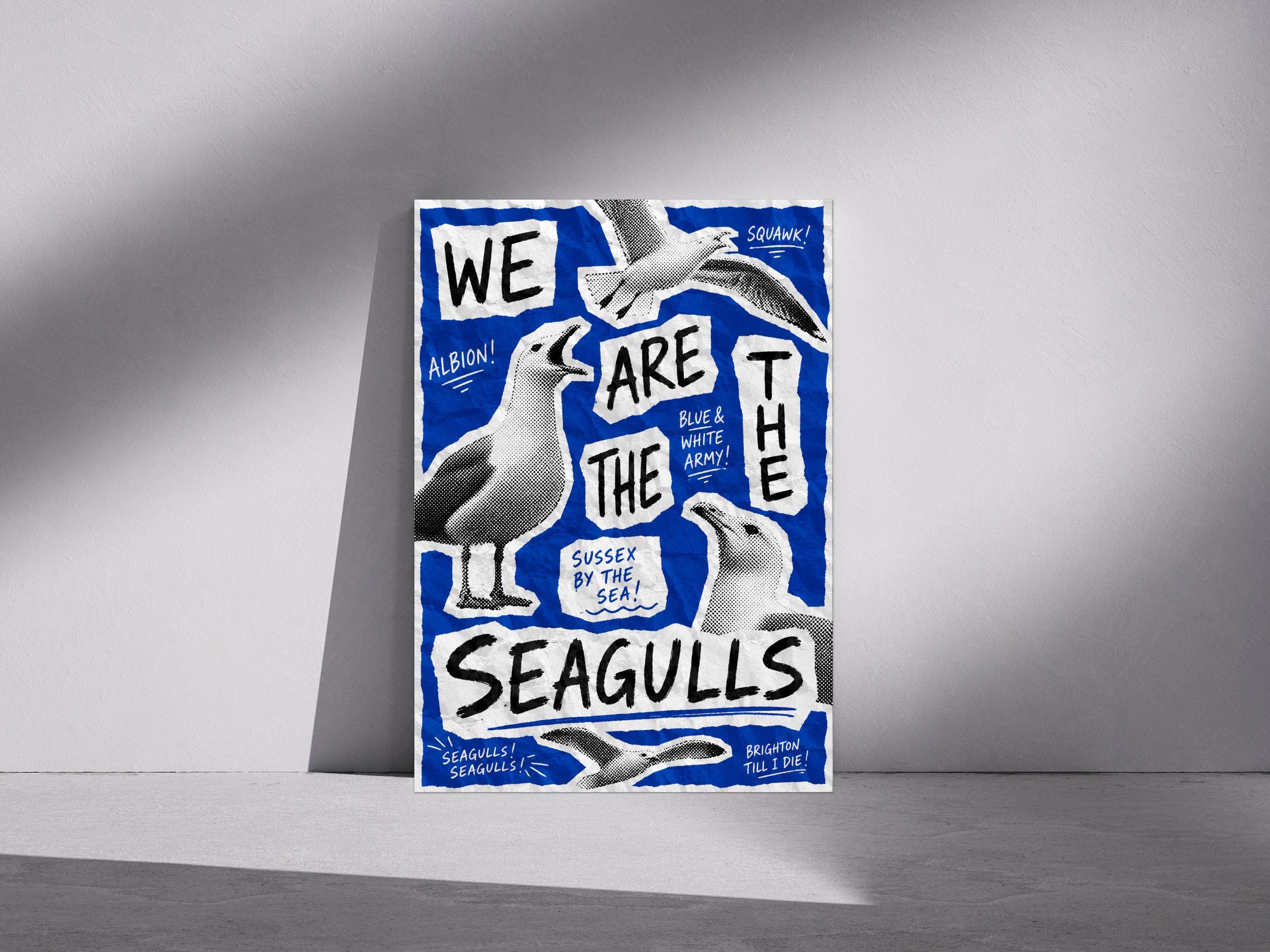 Brighton Seagulls Wall Art Print, Brighton Fan Poster, Albion Artwork, Brighton Supporter Gift, Sussex By The Sea Decor, Football | 025