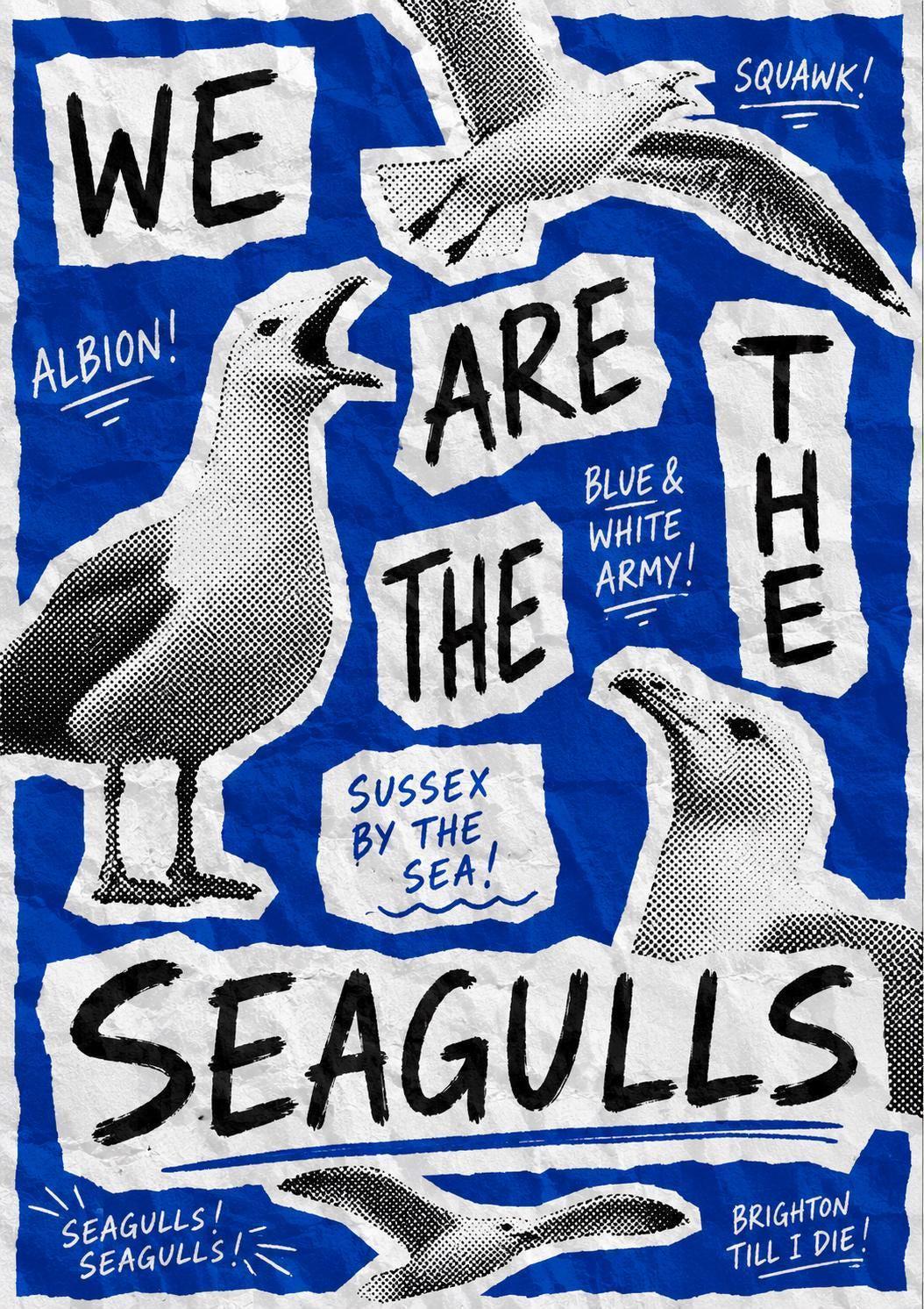 Brighton Seagulls Wall Art Print, Brighton Fan Poster, Albion Artwork, Brighton Supporter Gift, Sussex By The Sea Decor, Football | 025